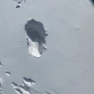 Meet your Posher, Kevin